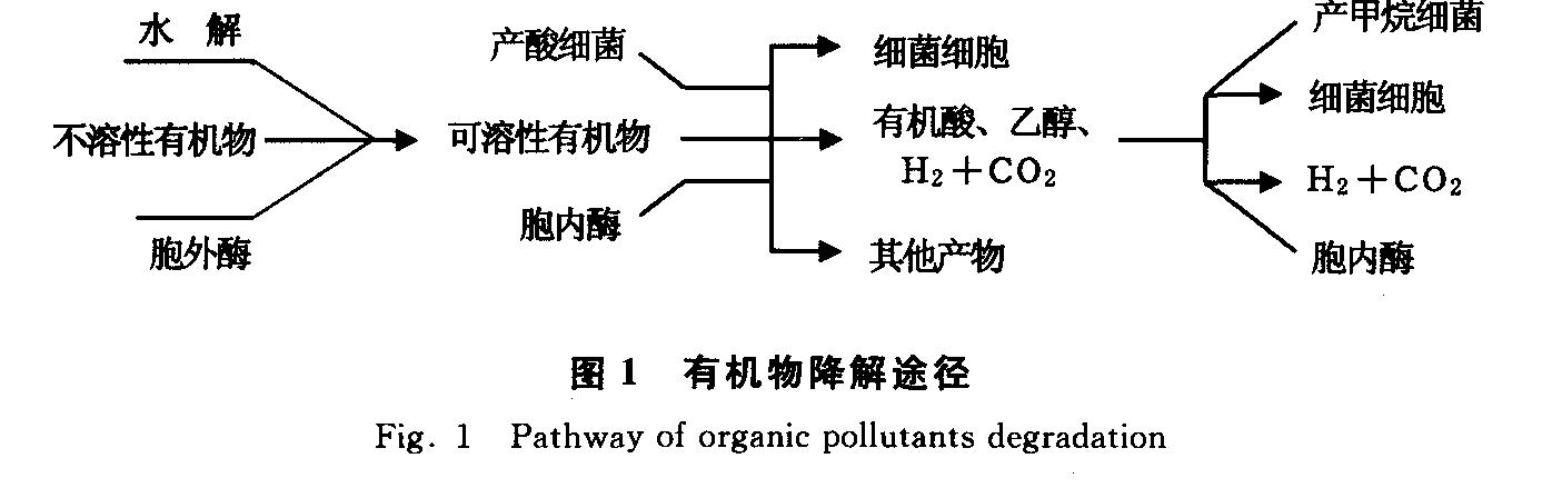 填埋场中垃圾降解微生物机理研究进展